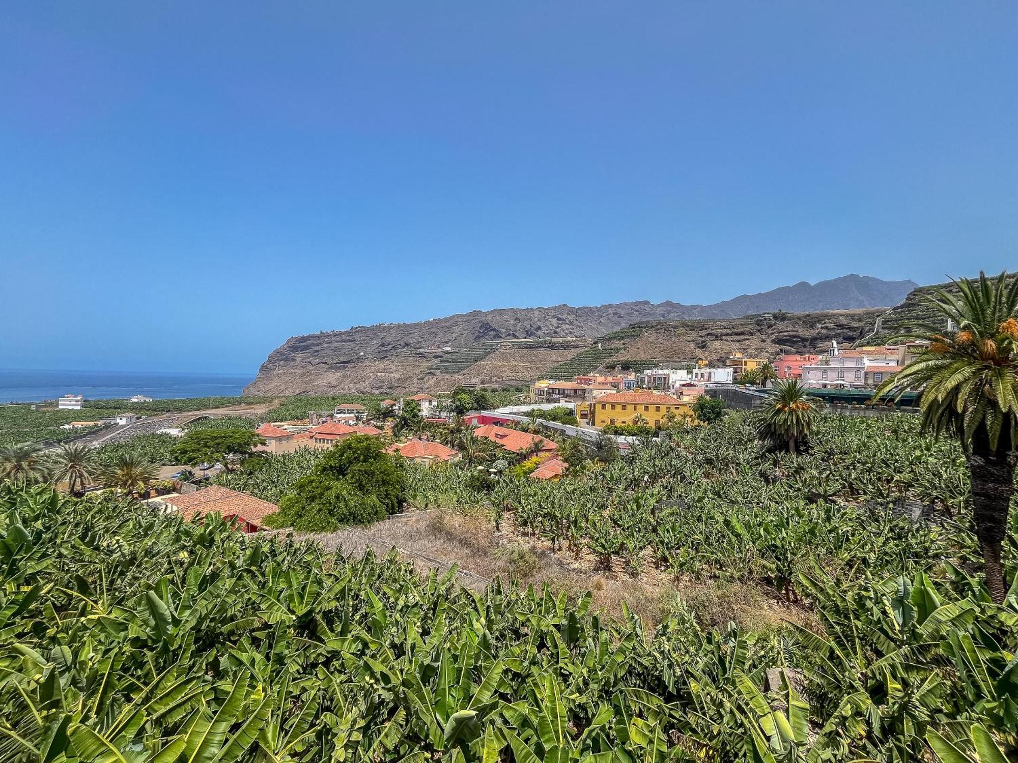 Lightbooking Tazacorte La Palma Dış mekan fotoğraf